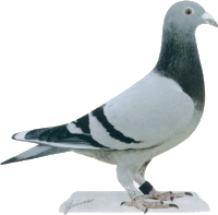 Belg. - 97-2127800 W